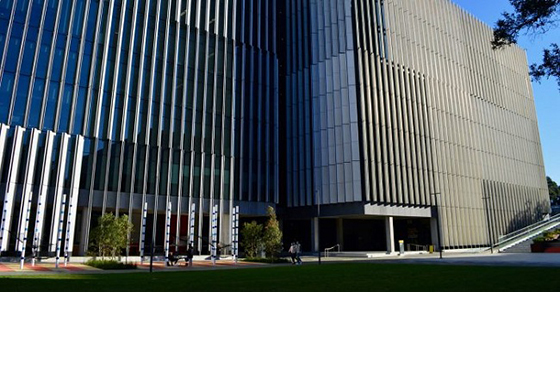 Cử nhân QUẢN LÝ HÀNG KHÔNG tại UNSW